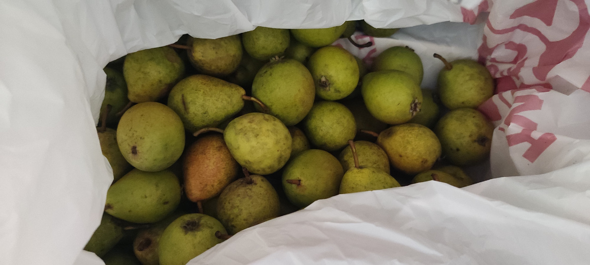 Фото автора . Урожай не мой) 