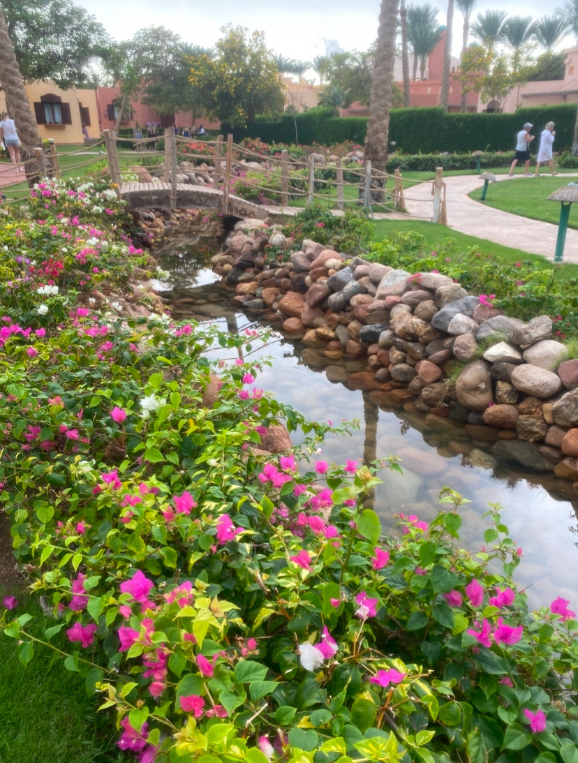 Nubian Island 5* Египет