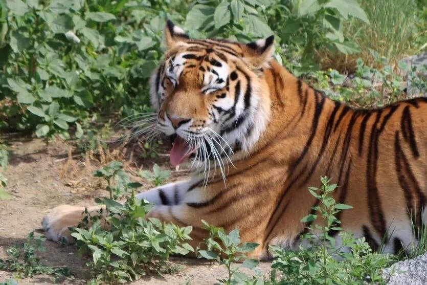 Фото: Олеся Денисова