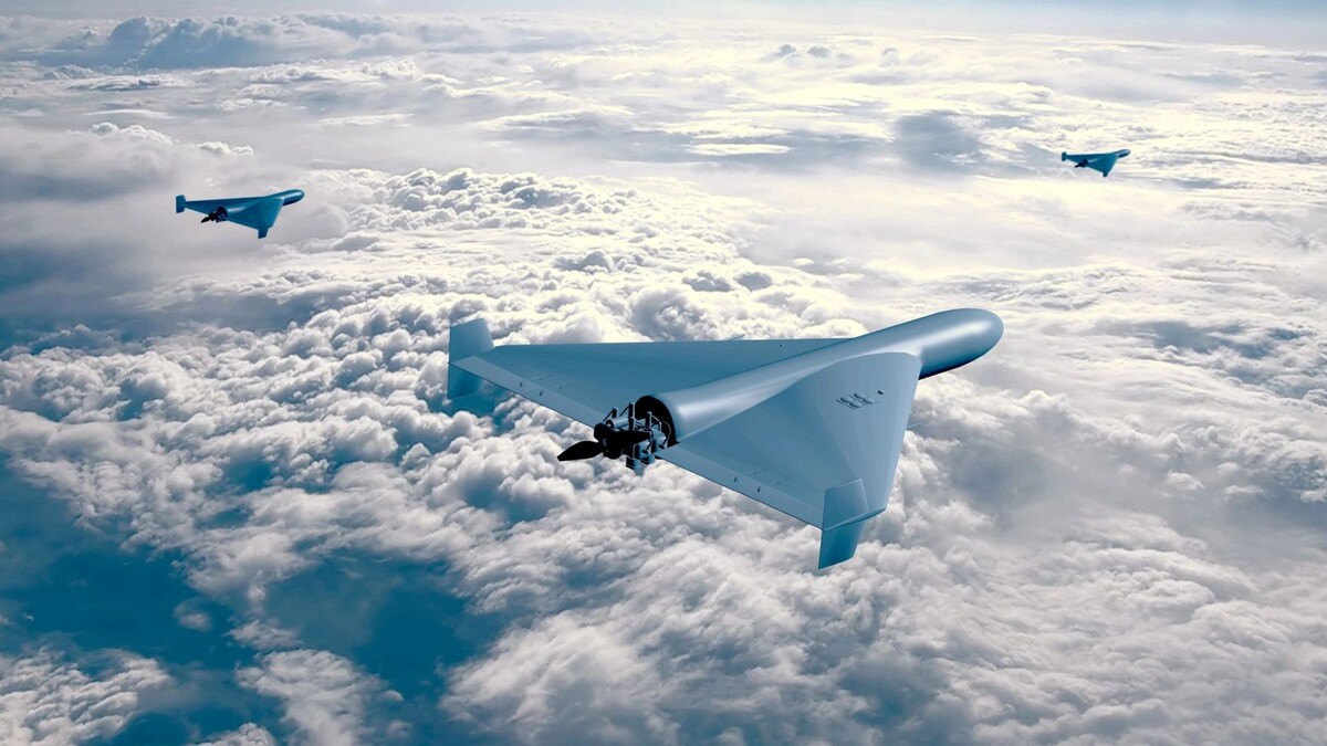    Фото: Anelo/Shutterstock/Fotodom