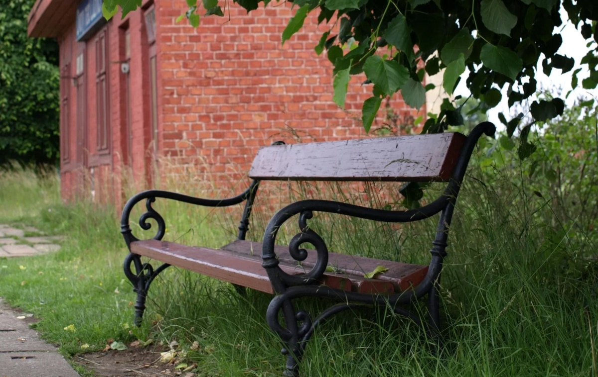 Картинка из интернета 