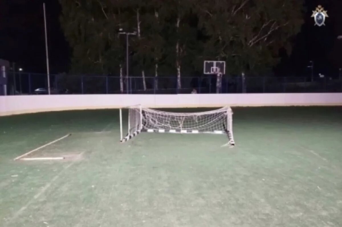    Главе СКР доложат о расследовании гибели ребенка в Самарской области