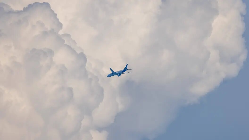    Фото: IMAGO/Jan Eifert/Globallookpress