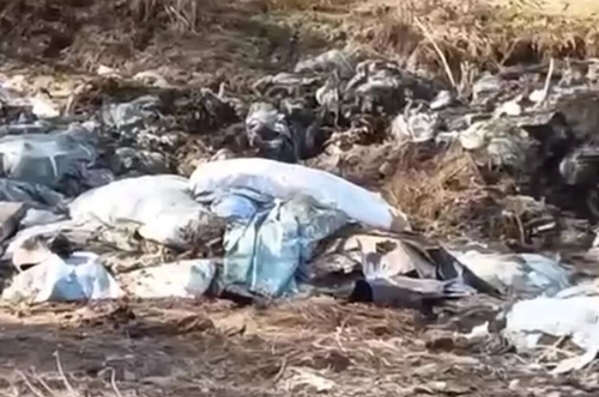    В Хабаровском крае закрыли шесть опасных скотомогильников