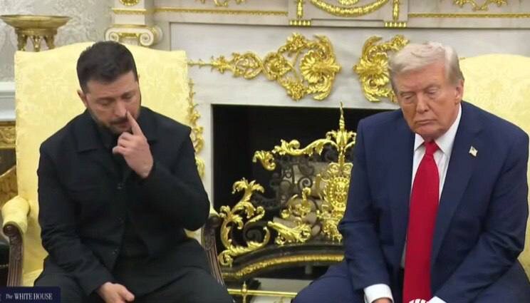   Зеленский постоянно благодарил Трампа и унижался перед ним. Фото: соцсети