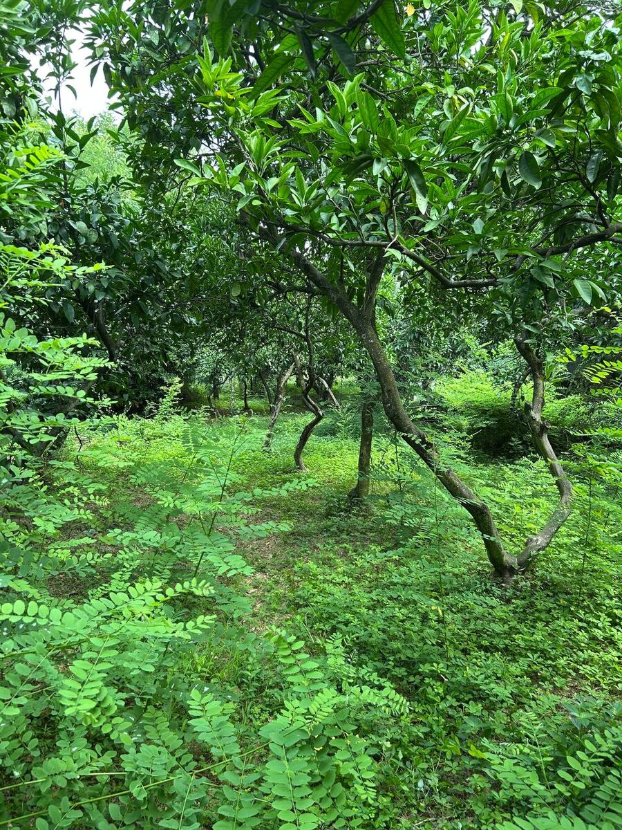    архив samaraonline24.ru