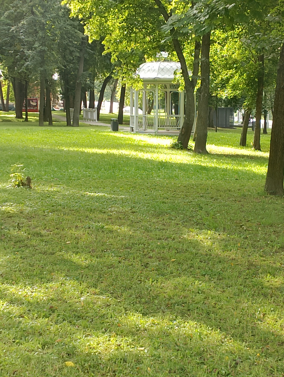 Зелёный рай