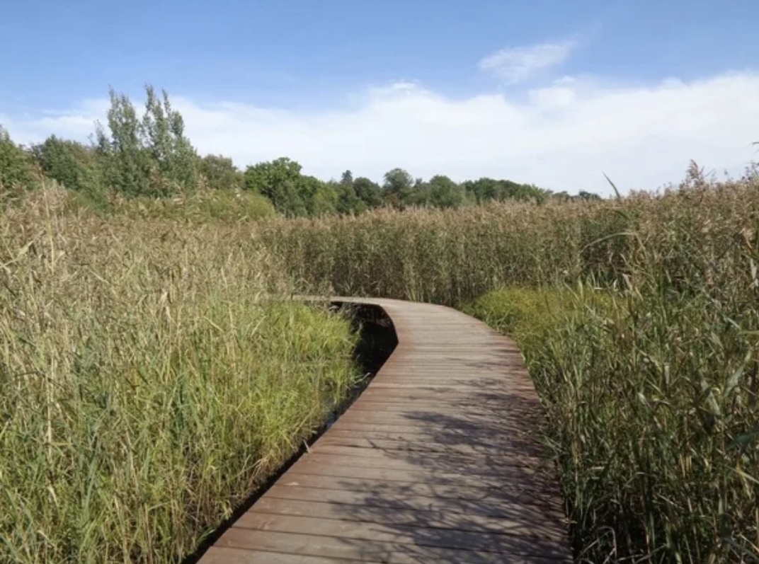 Фото уже и помню чье, честно говоря. Что-то смотрела в интернете о тропе, что-то дочка фотографировала, что-то я.