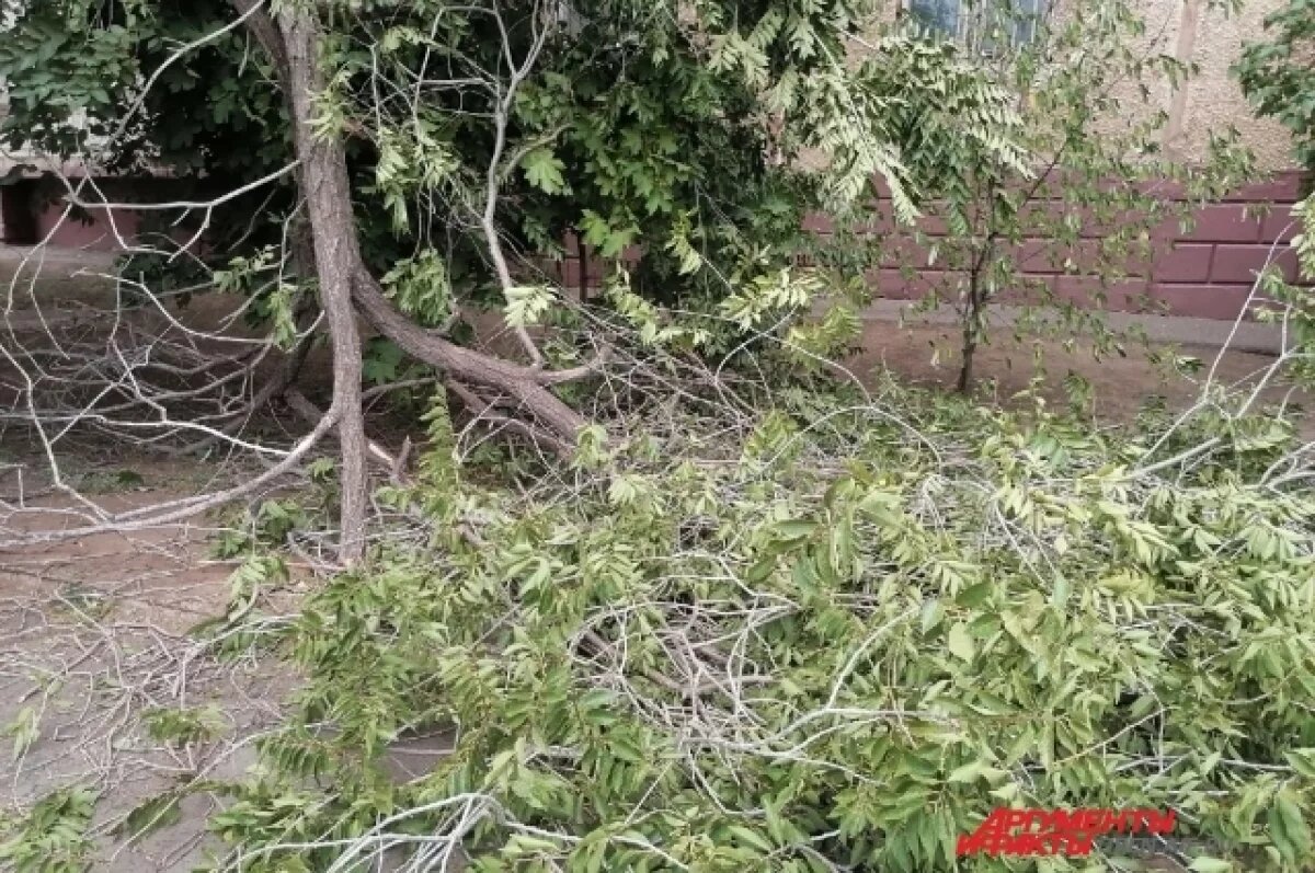    В Прикамье комиссия обследует дома для оценки масштаба последствий смерча