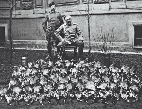 Император расправился со 100 дикими гусями