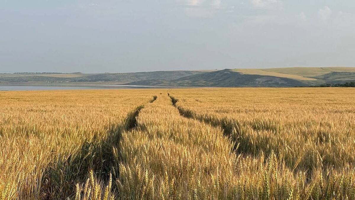    Фото: телеканал «Краснодар»