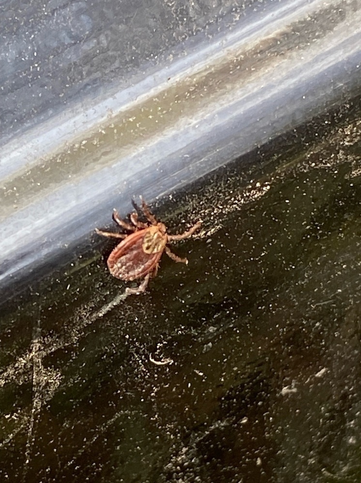     Фото: "МК в Калуге"