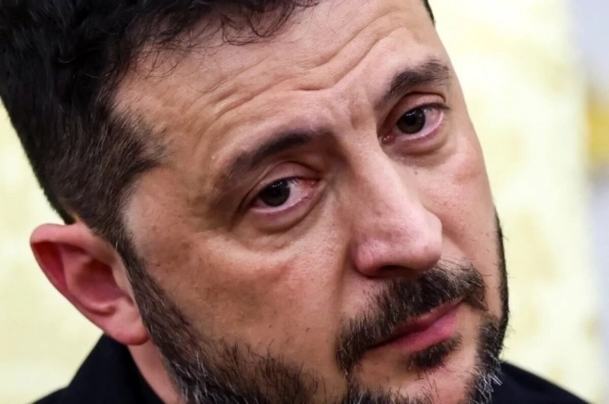    WSJ: на встрече с Трампом Зеленский не отверг идею территориального обмена