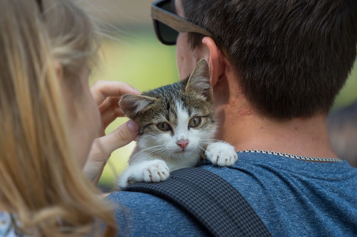 Фото: Андрей Ткаченко