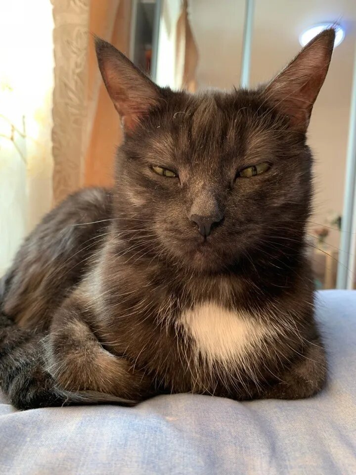 Фото:Челгид