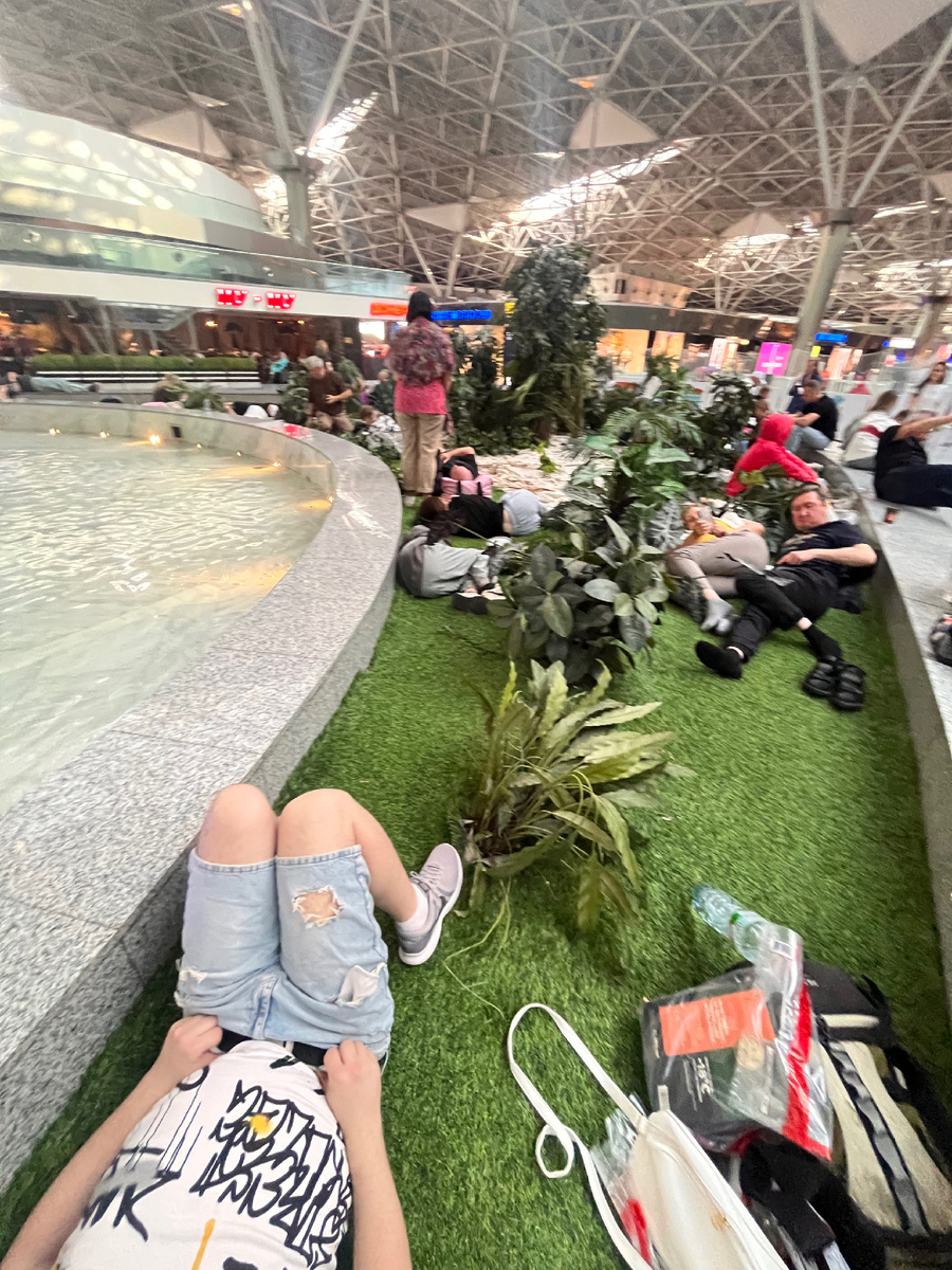 Внуково, июнь 2025г.