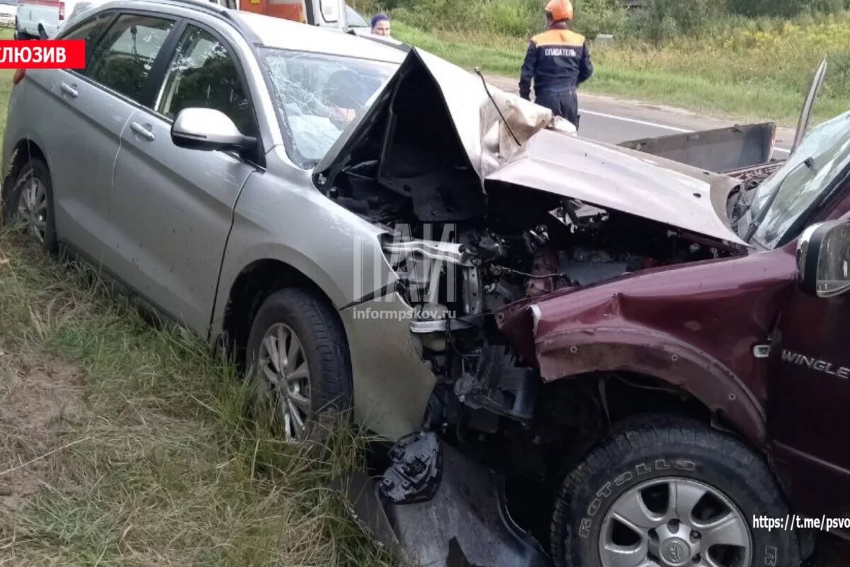    Двоих водителей доставили в больницу после ДТП в Великолукском районе