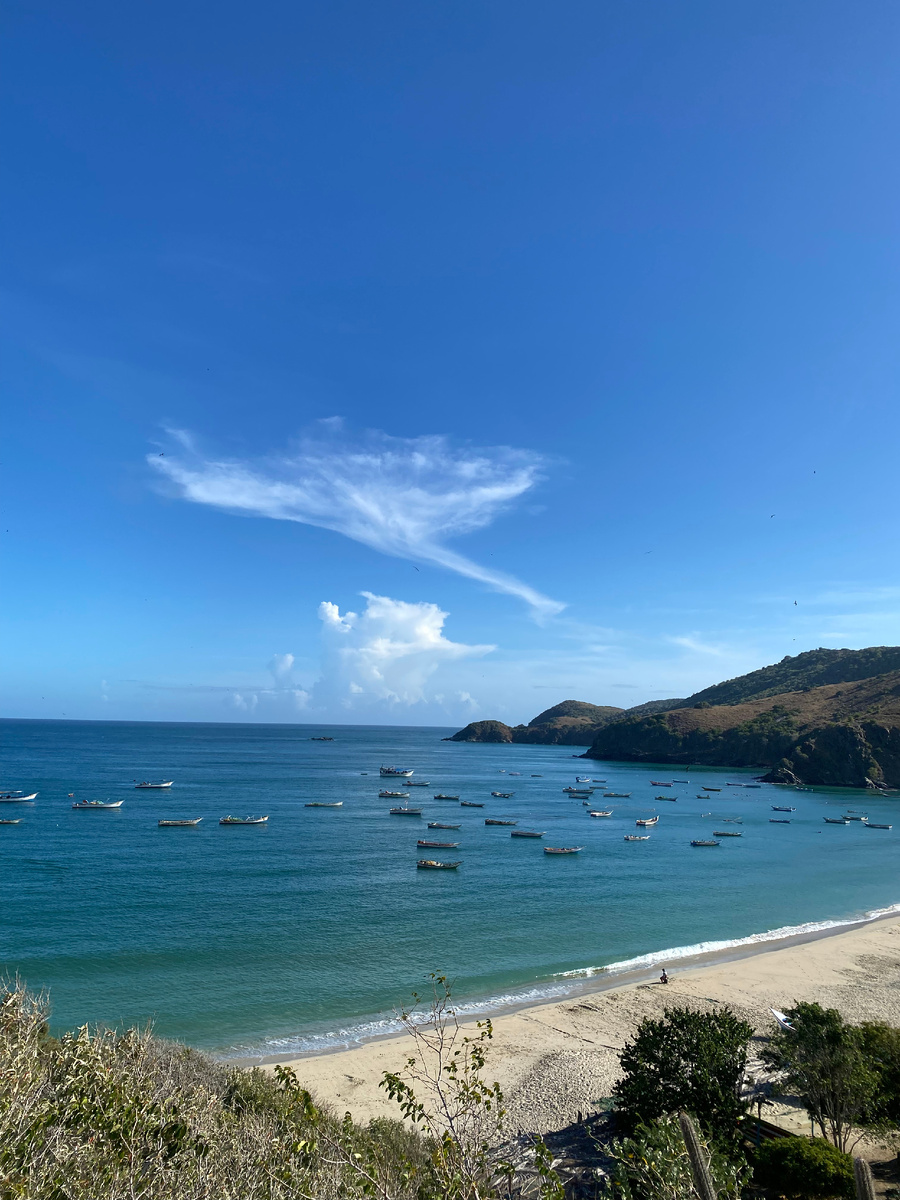 Рыбатская деревня 