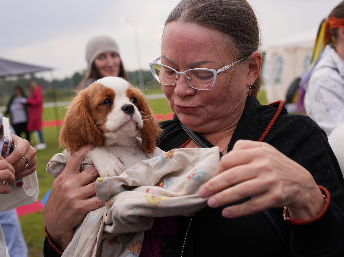 Фото Марины Лапиной (Вечерной Челябинск)
