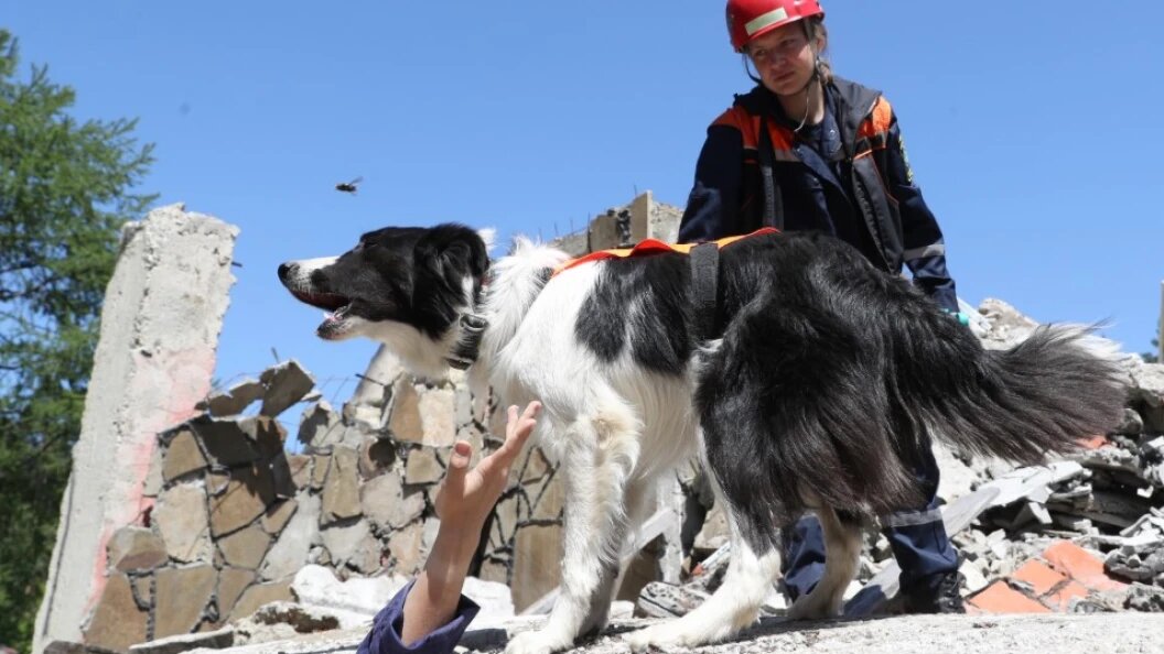    Bulkin Sergey/news.ru/Globallookpress