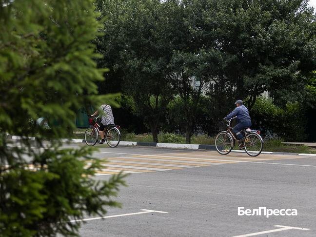 Фото: Алексей Дацковский