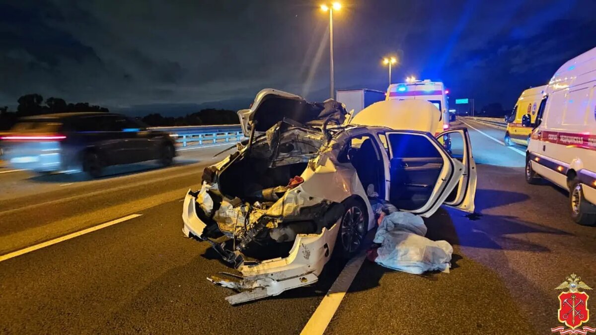    Фото: пресс-служба ГУ МВД по Петербургу и Ленобласти