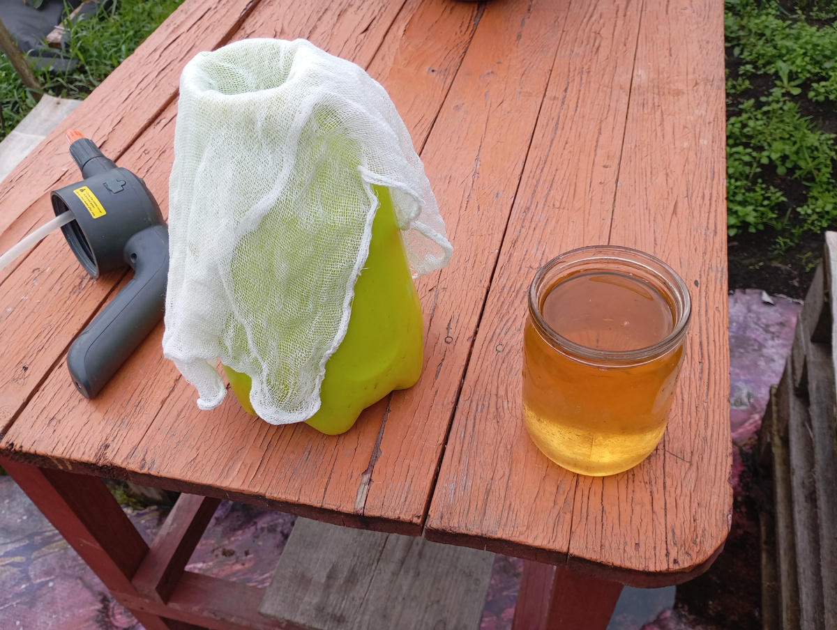 Фото автора.