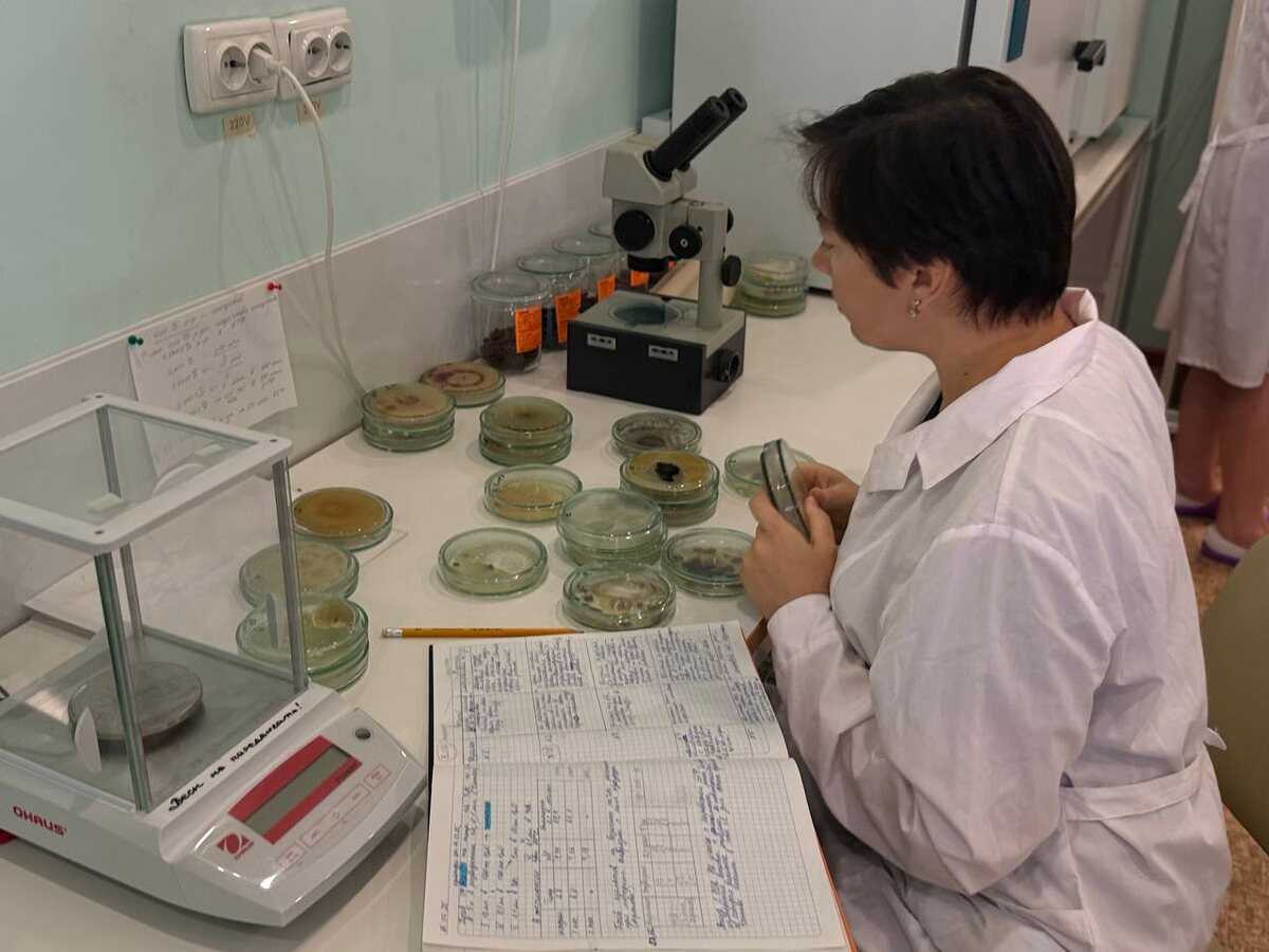 При наличии производственных мощностей крымские ученые смогли бы обеспечивать микробными препаратами не только Крым, а и весь юг России