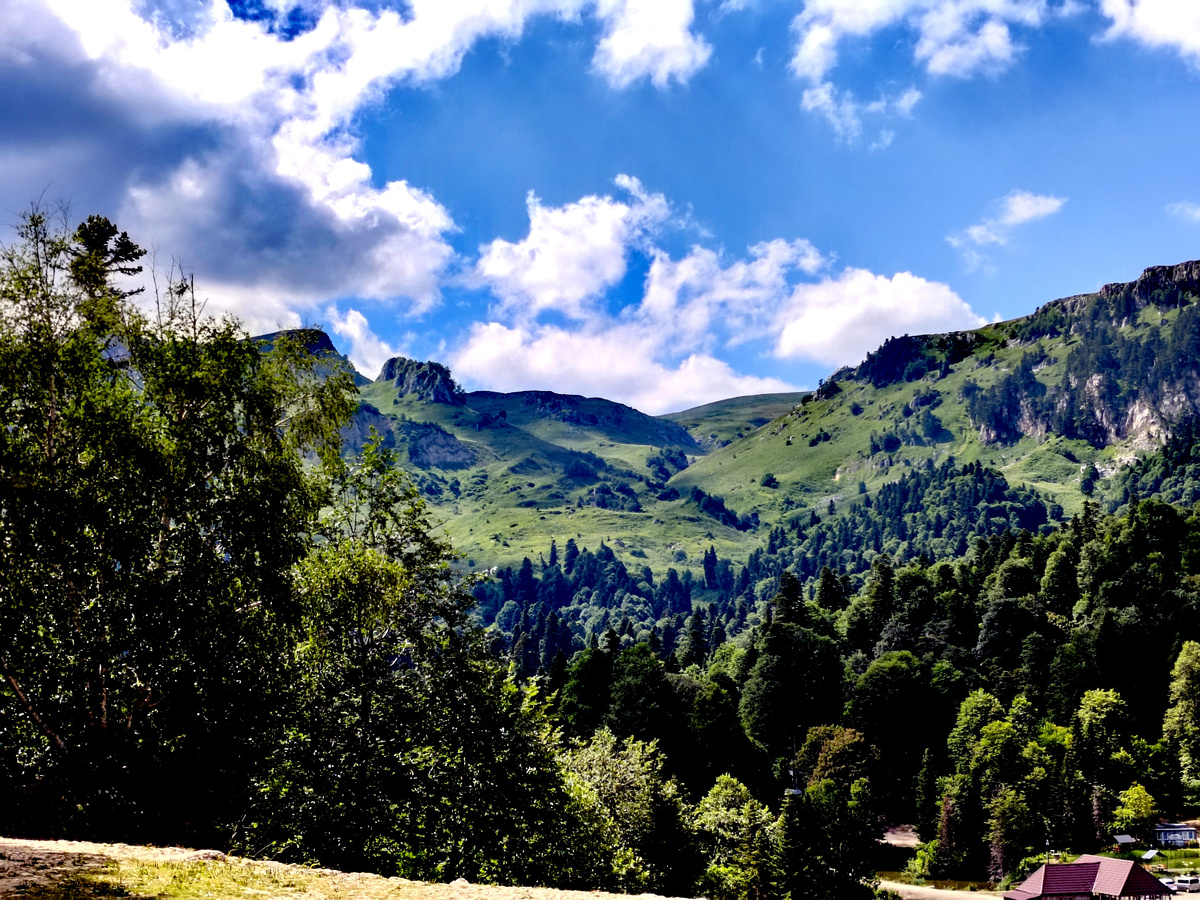 Вид с Яворовой Поляны на альпийские луга склонов горы Оштен. Фото автора