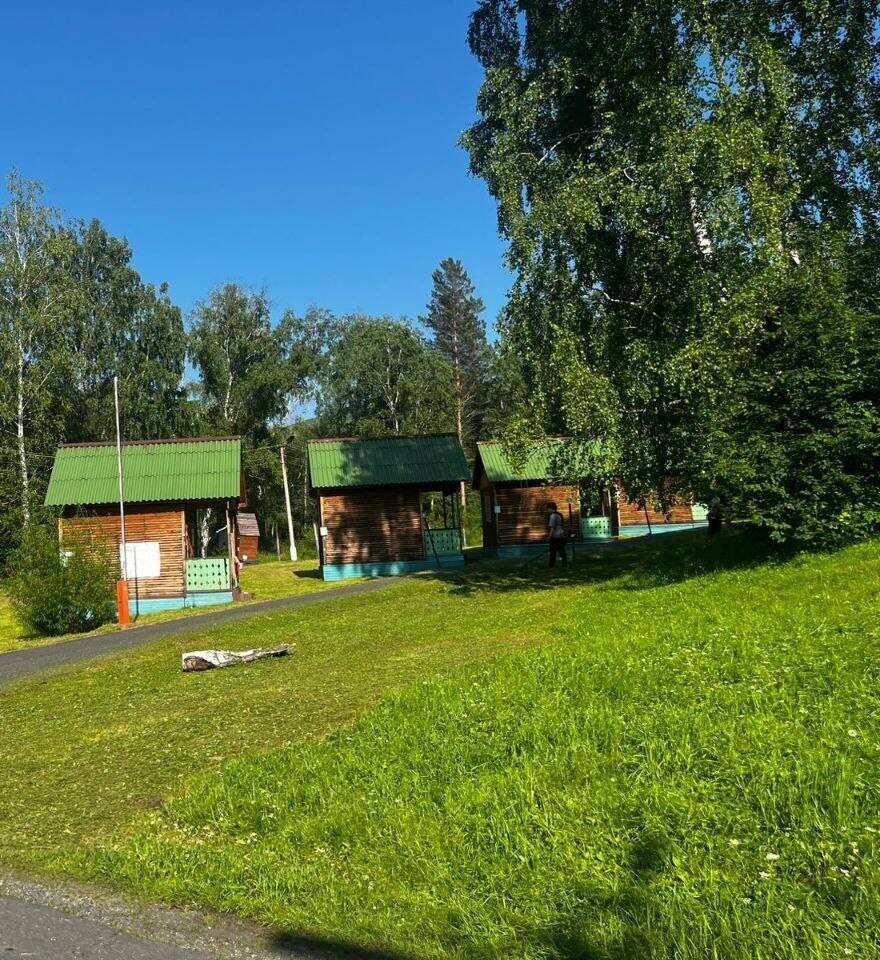    фото: ГСУ СК РФ по РХ и Красноярскому краю Kristina