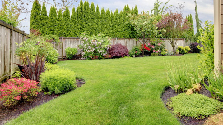 Плотный зеленый ковер через сезон