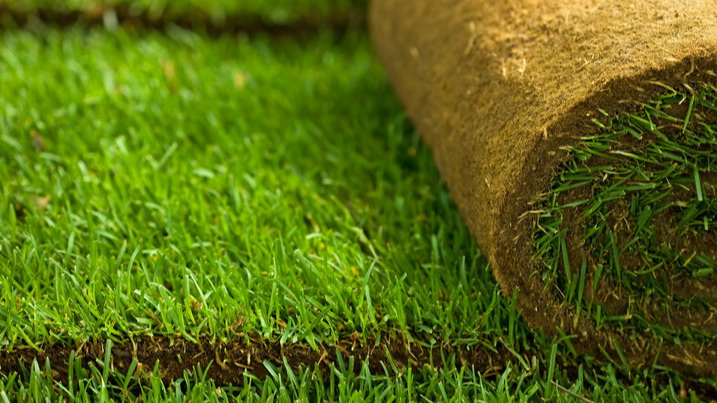 На газон трачу 3 часа каждые выходные.