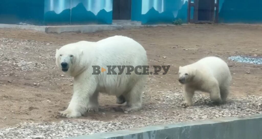    Фото: Пермский зоопарк Ульяна Бажанова