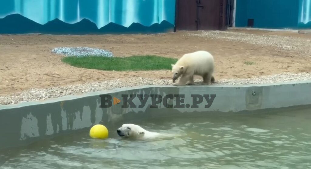   Фото: Пермский зоопарк Ульяна Бажанова