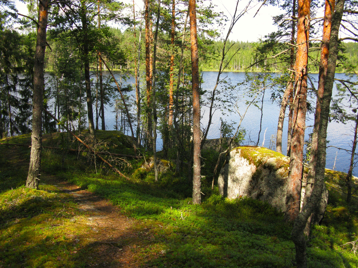 Озеро Владимировское. Вид со скалы.