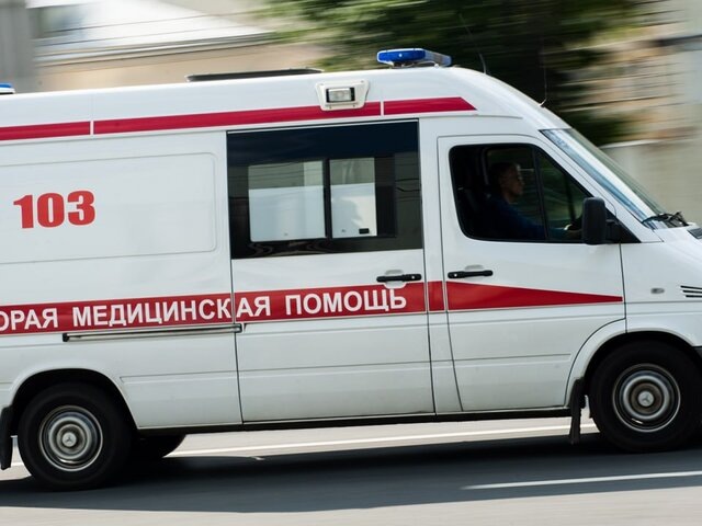    Фото: Москва 24/Игорь Иванко