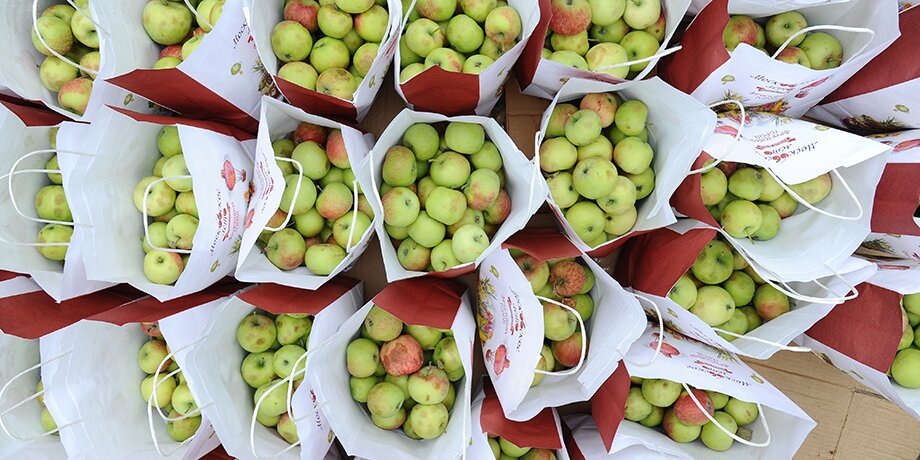    Фото: Агентство ''Москва''/Александр Авилов