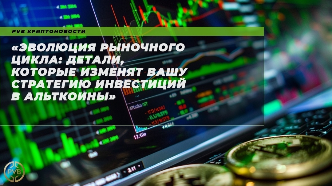    evolyutsiya-rynok-tsikla-altkoiny-strategiya-investitsiy PVB_EXCHANGE