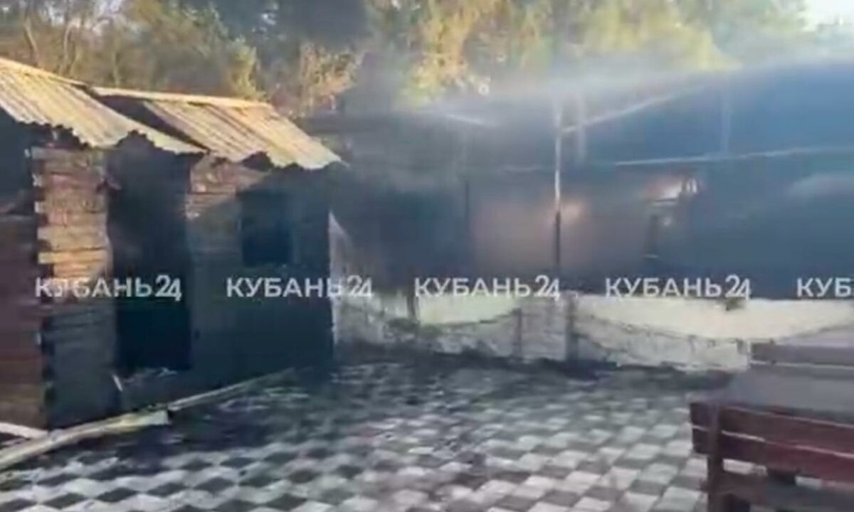    Видео «Кубань 24»