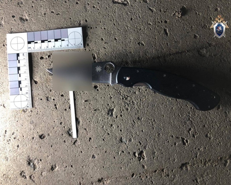     В Курске следователи рассказали подробности трагедии на улице Полевой