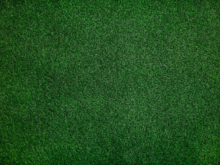     фото: ru.freepik.com