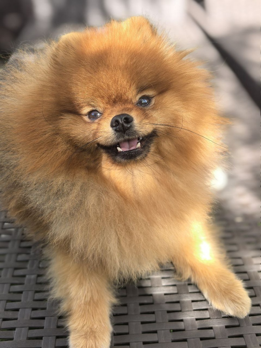 Май на шезлонге @Надежда Билецкая