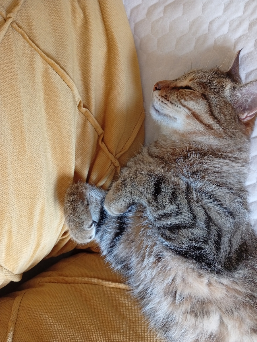 Поели? Можно и поспать. Артём 