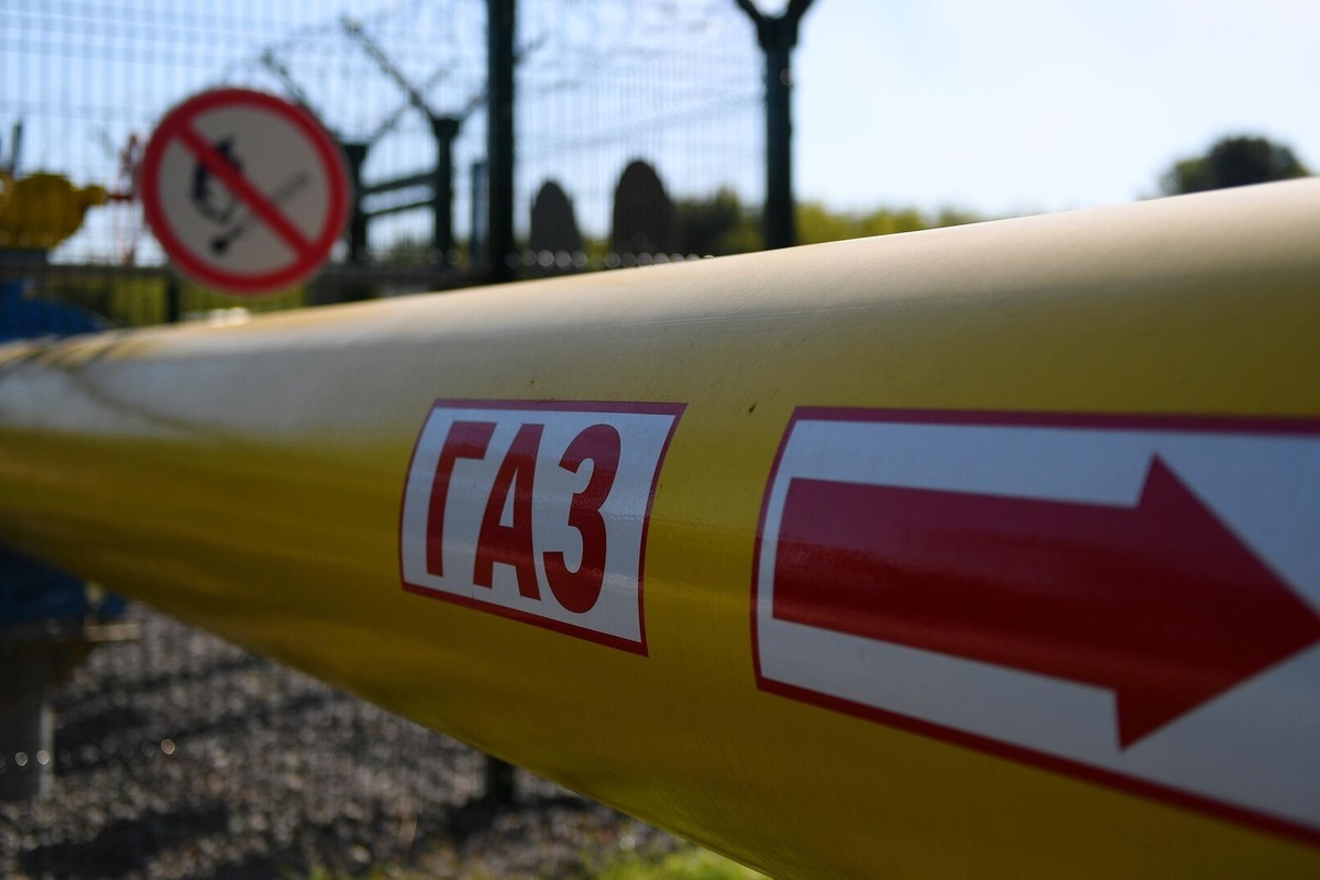    Фото: Максим Богодвид, источник: ria.ru