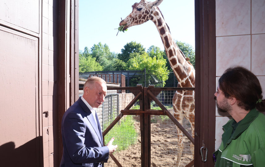    ... и осмотрел инфраструктуруgov.spb.ru