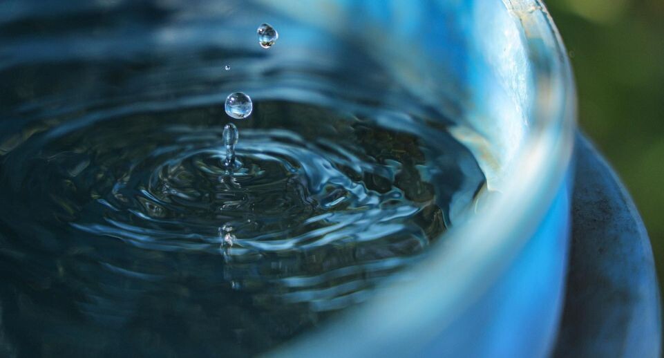    Andrey Titov/Business Online / www.globallookpress.com