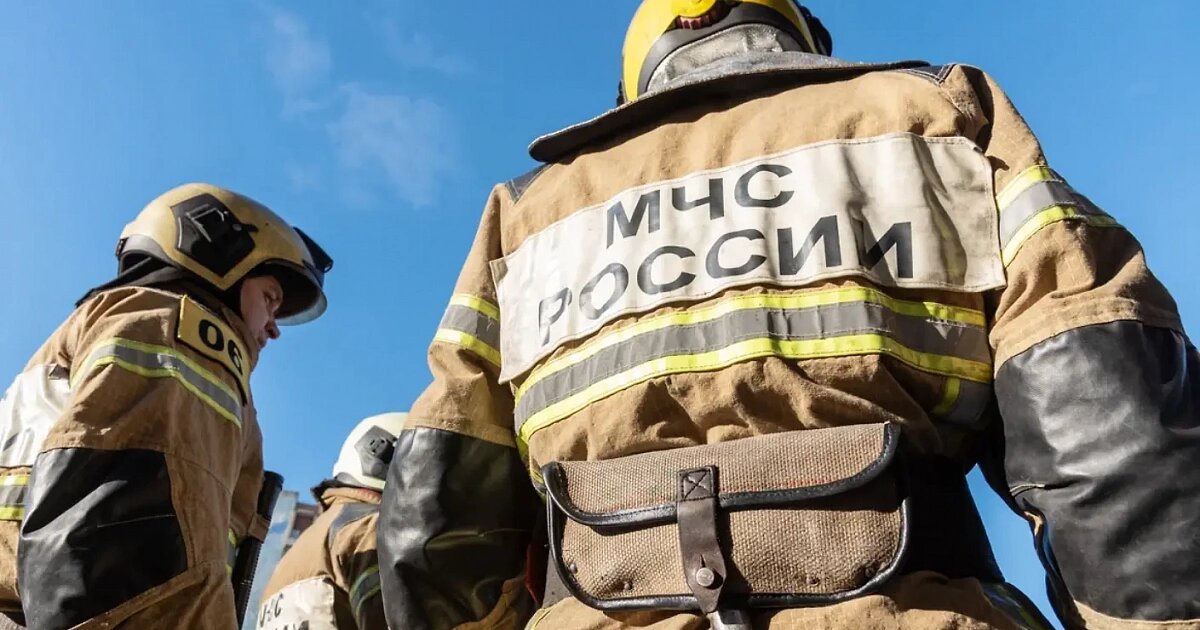 Фото: Игорь Елисеев / Коммерсантъ