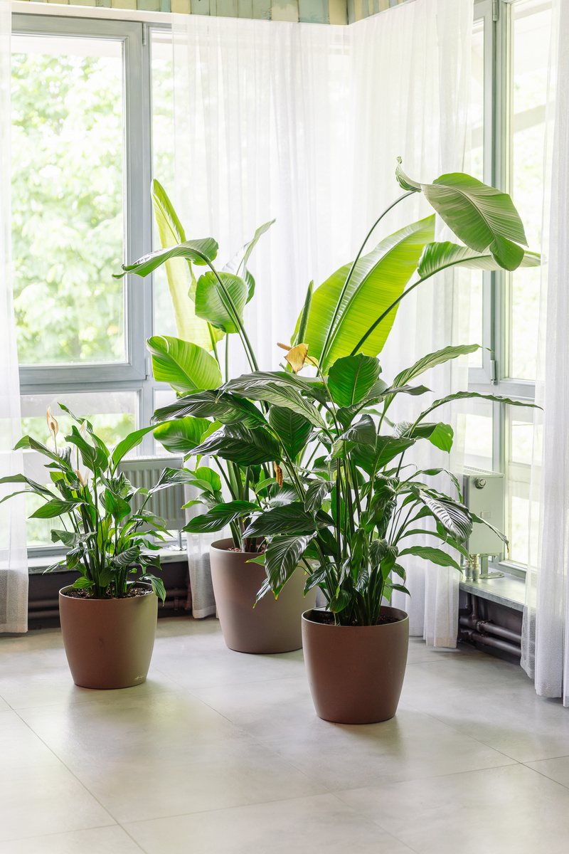 Выполнено декораторами Me Decor