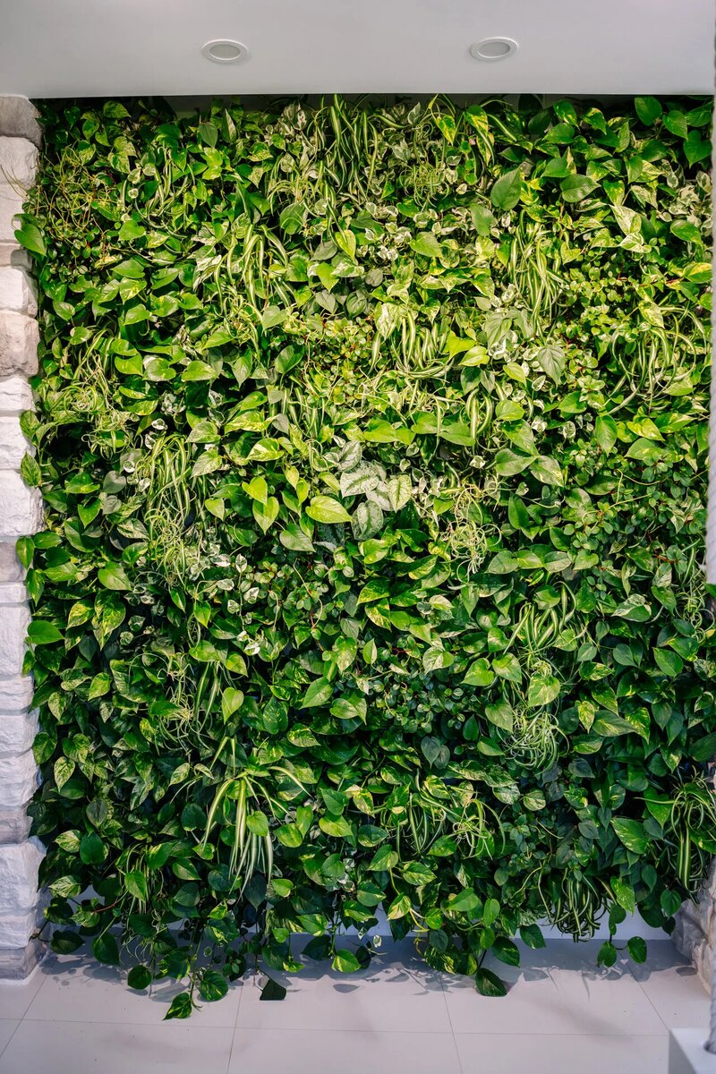 Выполнено декораторами Me Decor