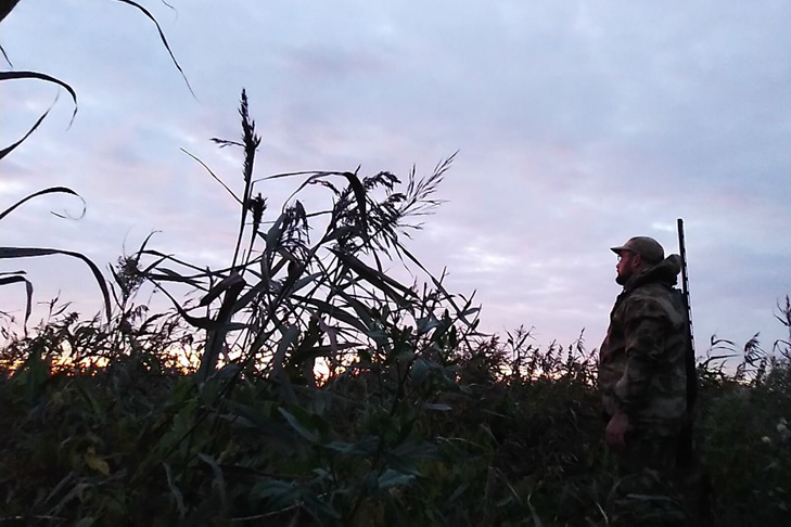    Фото из архива VN.ru